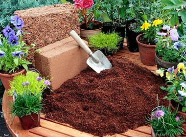 coconut peat