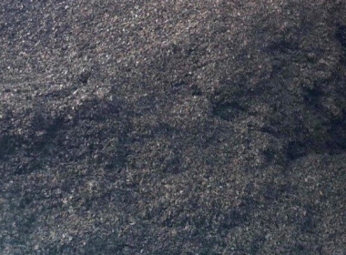 Teak Leaf Mold (Munch)