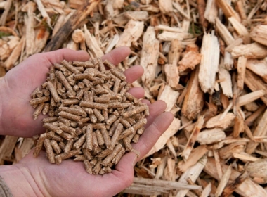 Wood pellets