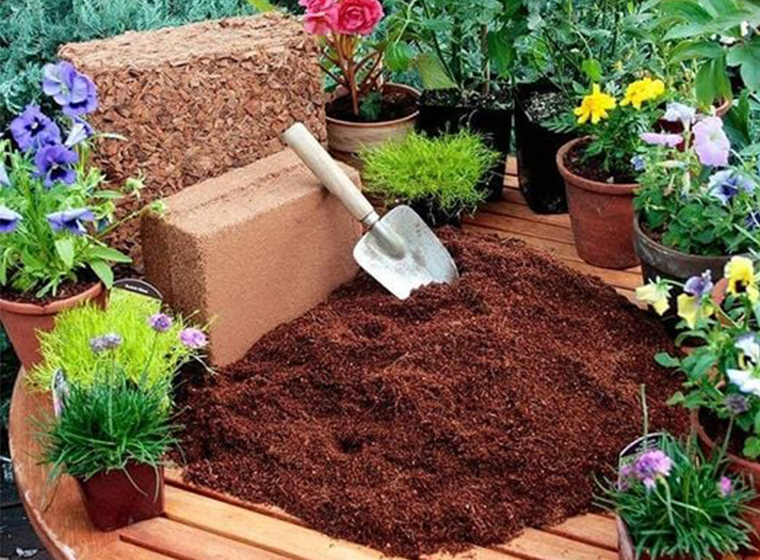 coconut peat
